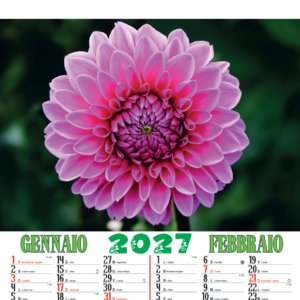 Calendario Illustrato Fiori e Giardini 6 FF
